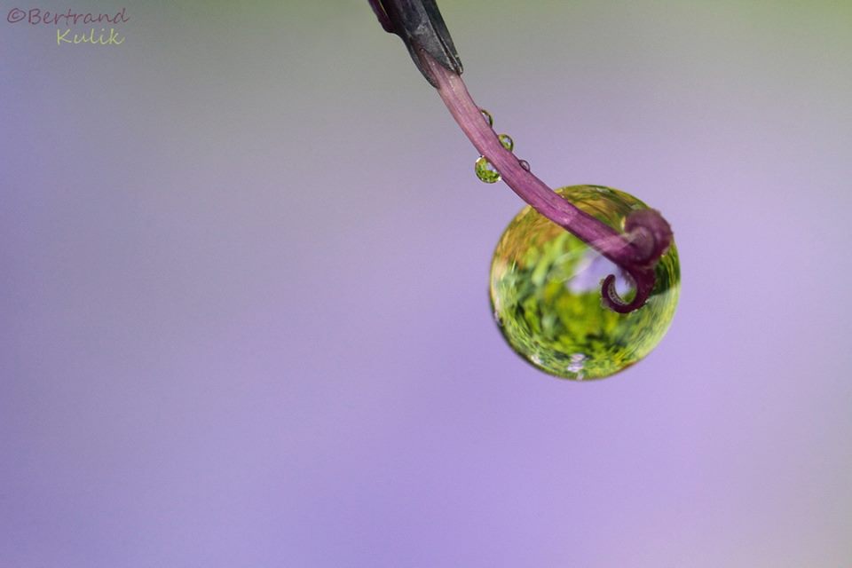 Fotografi makro dalam tetesan air