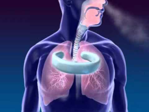 SHARE TEKNIK PERNAFASAN TENAGA DALAM