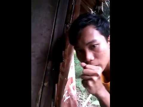 Mengapa Wanita Senang Memakai Celana Dalam Pria ?