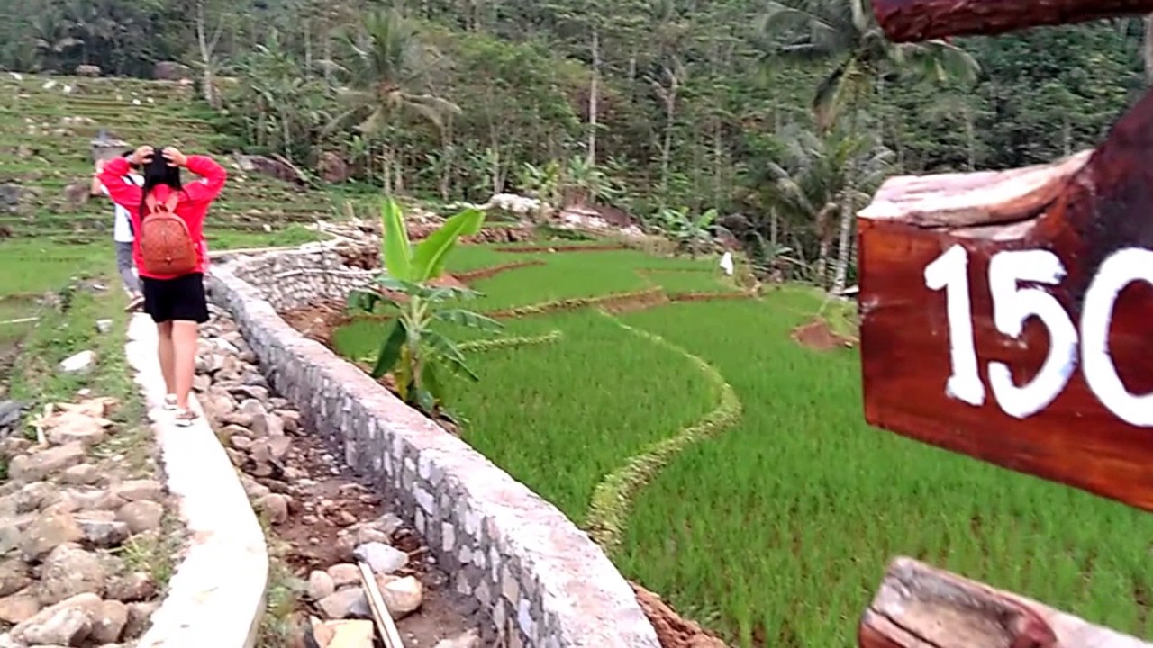 &#91;CoC Regional: Lokasi Wisata&#93; Wisata Pagubugan, Nyemplung di Tengah Sawah