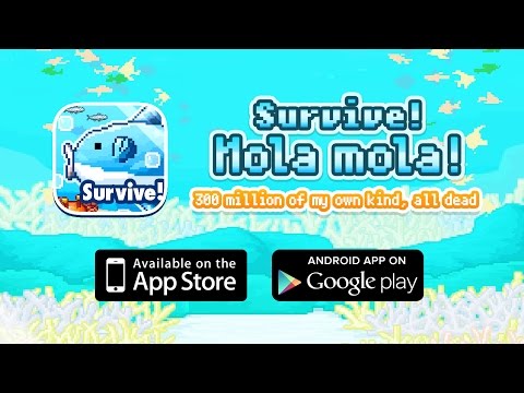 Mola Mola itu ikan apa sih? tambah ilmu sebentar yuk!