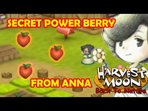 Cara Mendapatkan Power Berry Di Harvest Moon Back To Nature