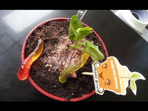 Inilah Minuman &amp; Makanan Yang Pernah BOOM-ing!! Kamu udah pernah coba yang mana aja? 