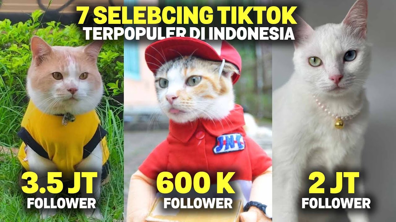 rh-pemuda-yang-pasang-bendera-di-leher-anjing-jadi-tersangka-putusan-kontroversial