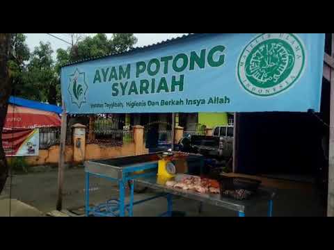 buah-bersertifikat-halal-pedagang-buah-kan-murni-dari-pohon