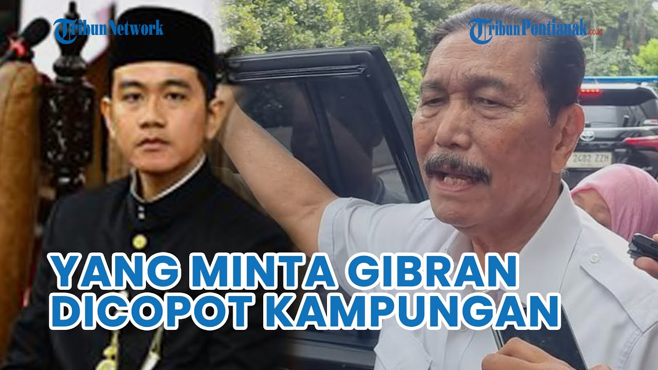 Luhut ke Pihak yang Minta Wapres Gibran Dicopot: Kau Jangan Tinggal di Indonesia!