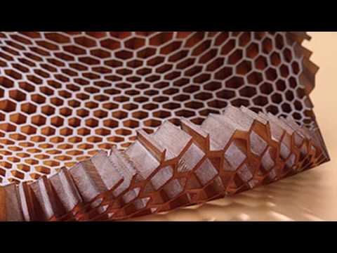 adakah-yg-mengalami-kejadian-mengerikan-seperti-ane-gan-korban-trypophobia