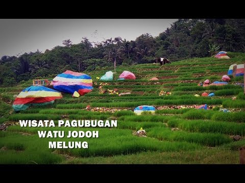 &#91;CoC Regional: Lokasi Wisata&#93; Wisata Pagubugan, Nyemplung di Tengah Sawah