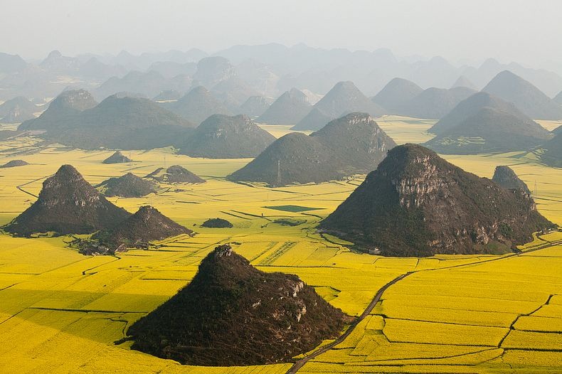LAUTAN KUNING DI CHINA INI BUKAN TANAMAN PADI