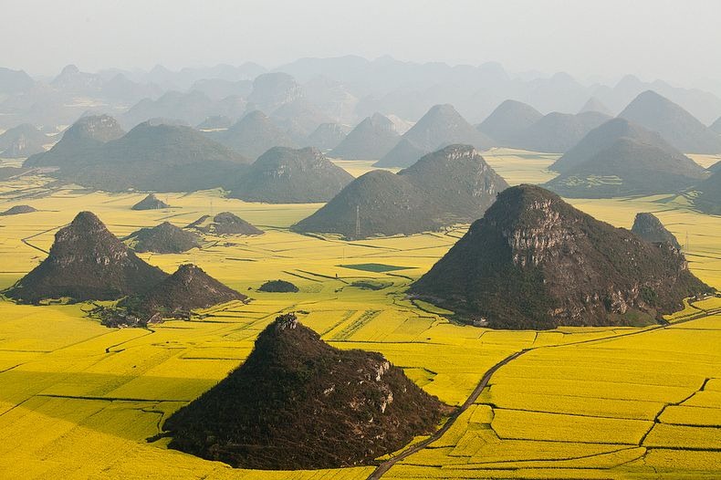 LAUTAN KUNING DI CHINA INI BUKAN TANAMAN PADI