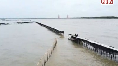 Ali Hanafiah Lijaya dan Engcun Diduga Dalang Pemagaran Laut di Tangerang Untuk PIK-2