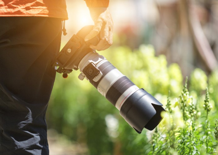 Fotografer Pemula Wajib Tahu Fungsi Lens Hood, Yuk Cek Di Sini!