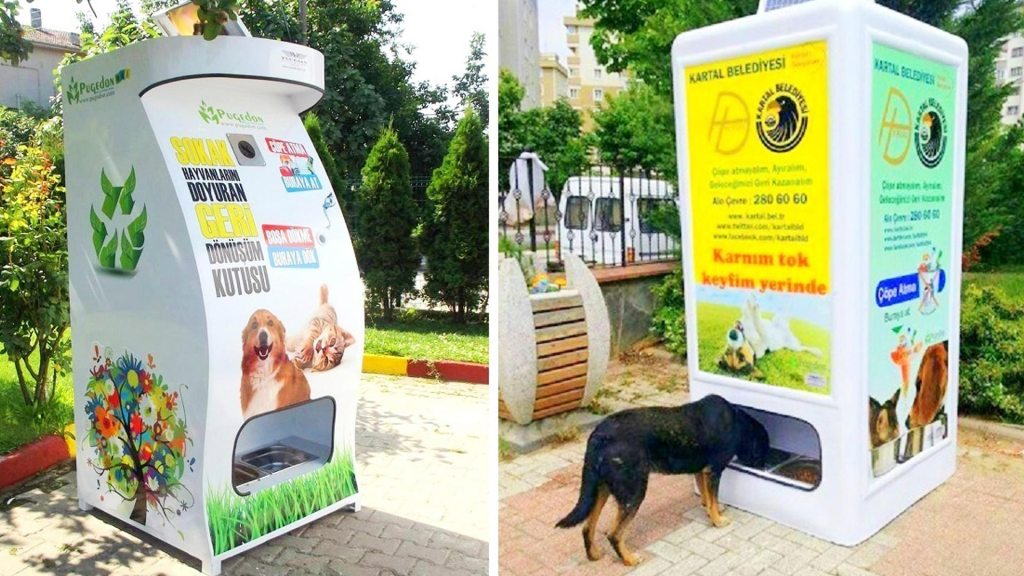 vending-machine-anjing-dan-kucing-gimana-ya-cara-kerjanya