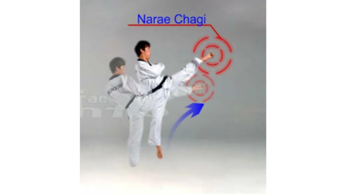 Jenis Tendangan Dasar Pada Taekwondo