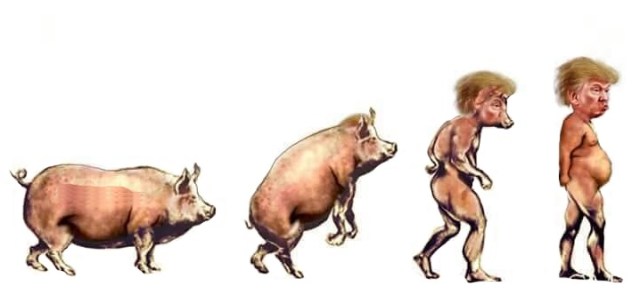 (EGAGLOGI)Ini loh,Bukti Teori Evolusi itu hanyalah mitos