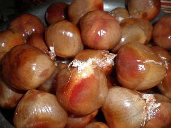 Favorit! Buah Dari Hutan Kalimantan Ini Sudah Mulai Langka!