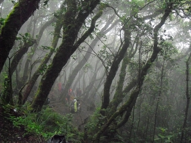 Mendaki Gunung Bersama 5 Setan di Gunung Pewandano !