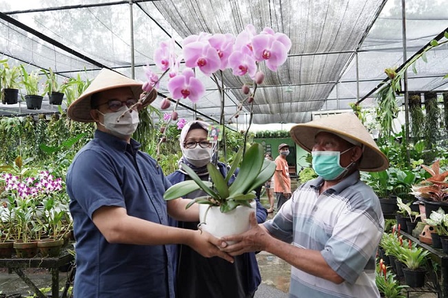 Ganjar Pranowo Jadi Nama Jenis Bunga Anggrek, Didaftarkan di Inggris 