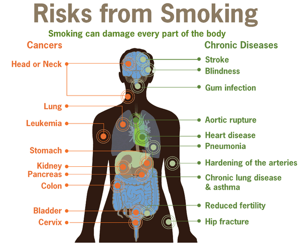 10-manfaat-rokok-bagi-kesehatan-manusia