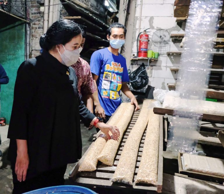 Kunker di Jatim, Puan Cek Harga-Pasokan Minyak Goreng dan Tempe
