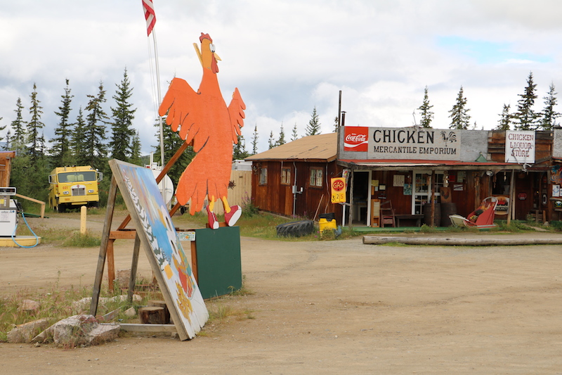 Unik, di Alaska Ada Kota Bernama Ayam