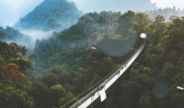 wisata-jembatan-gantung-terpanjang-rengganis-suspension-bridge