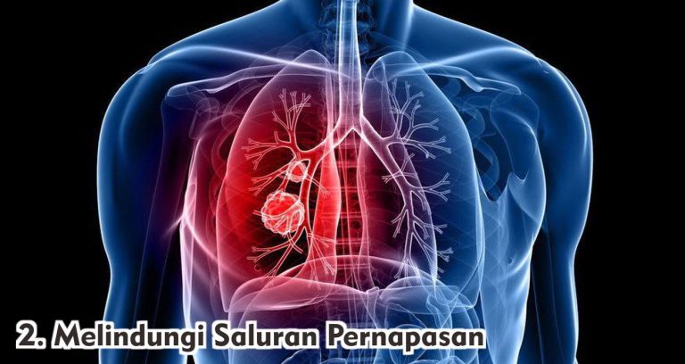  4 Peran Vital Hidrasi Dalam Menjaga Kesehatan Saat Polusi Tinggi !