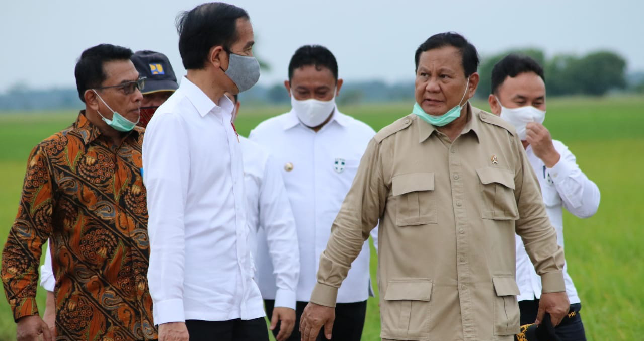 Kemhan Tanam Singkong di Food Estate, karena Banyak Kelebihannya