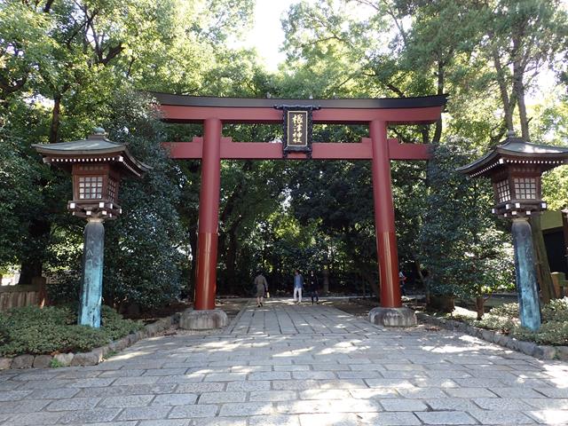 Indahnya Festival Bunga Azalea di Kuil Nezu, Tokyo