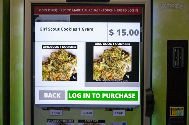 12 Momen Penting Perjalanan Marijuana di Amerika