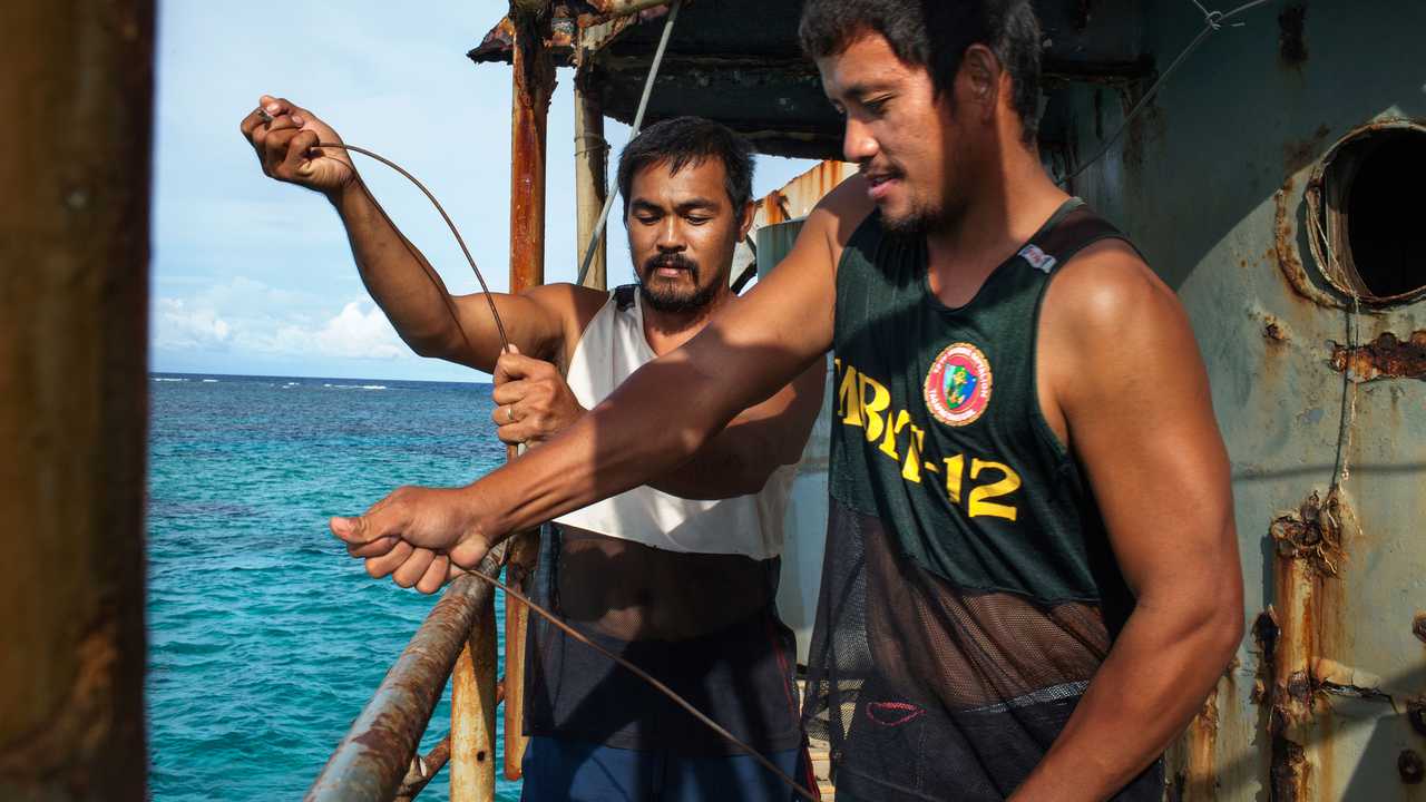 A Game of Shark and Minnow