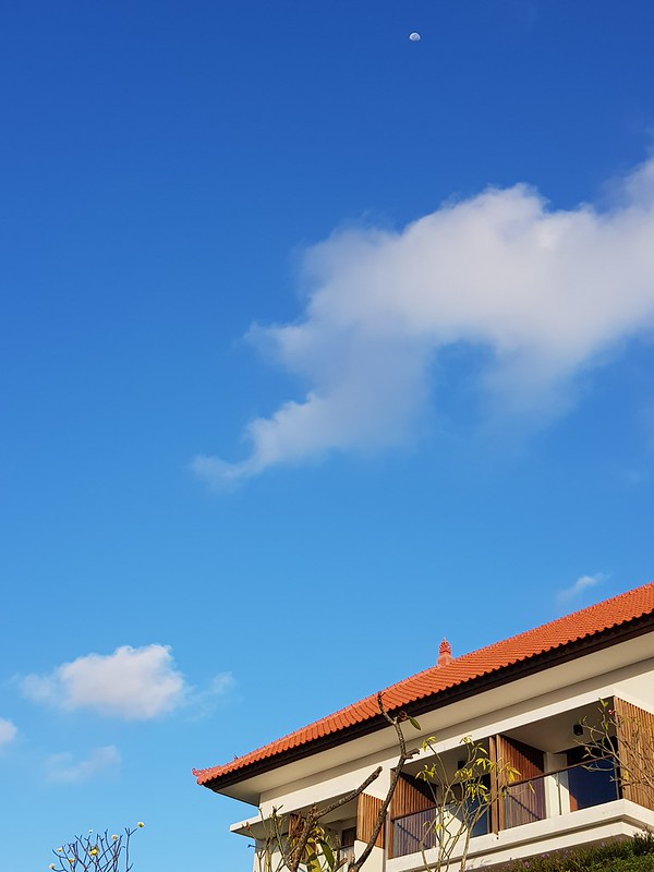 Review Kamera Samsung Galaxy S8+ (plus hasil foto asli tanpa editing)