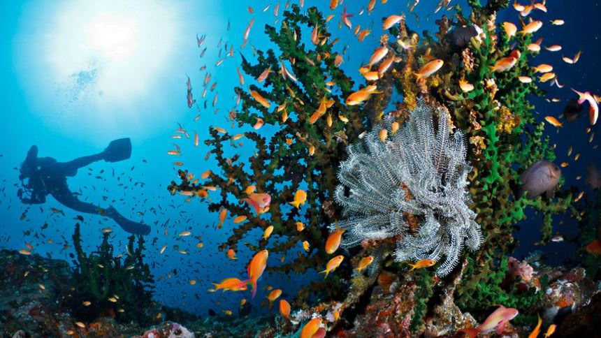 Liburan di Sabang? Jangan Menyesal Jika Tidak Mengunjungi 5 Tempat Wisata ini.