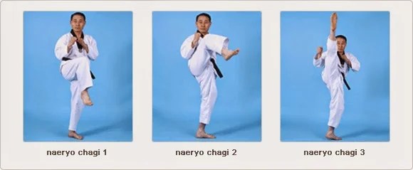 Jenis Tendangan Dasar Pada Taekwondo