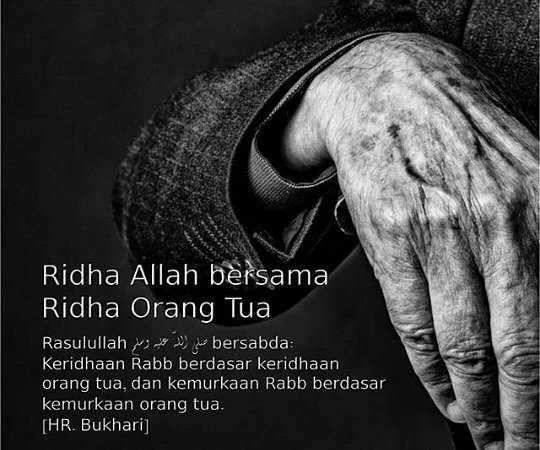 HUKUM BERBAKTI PADA KEDUA ORANG TUA YANG NON MUSLIM
