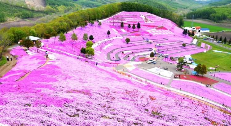 Hokkaido, Pulau Nan Eksotis di Utara Jepang