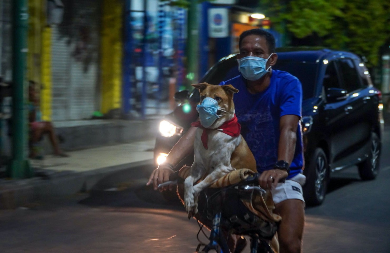 Dari Karl Drais hingga Pandemi: Pasang Surut Popularitas Sepeda