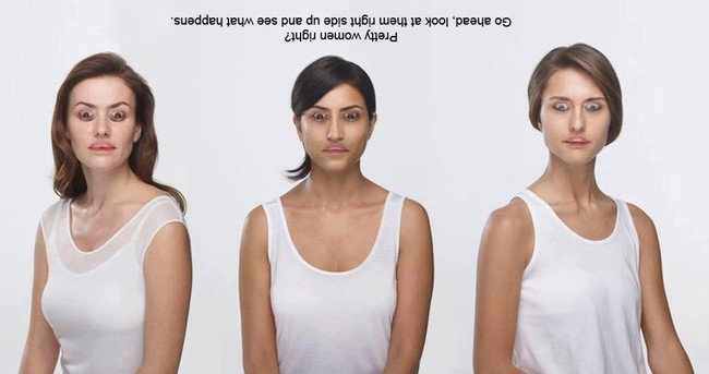 11 Optical Illusion yang membuat agan bertanya-tanya