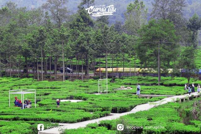 Wisata Alam Curug Tilu Rancabali Bandung