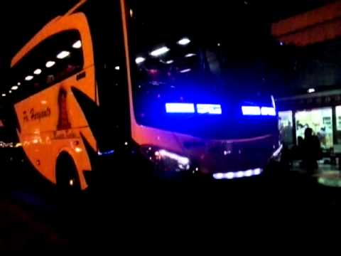 Bus mania : Po. HR Tattoo 505 Beautiful Of Pantura