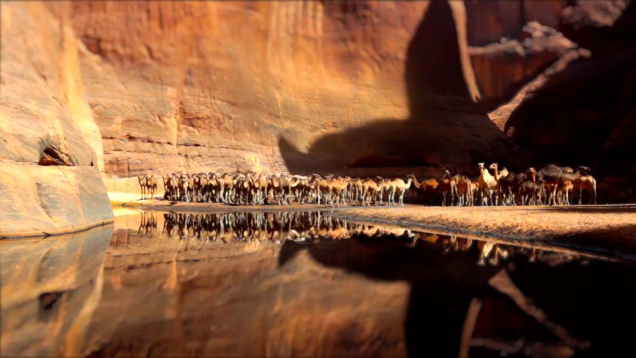 &#91;WOW&#93; Guelta d'Archei, Surga Tersembunyi Di Gurun Sahara 