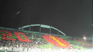 Brigata Curva Sud menghapus kesan miring suporter indonesia