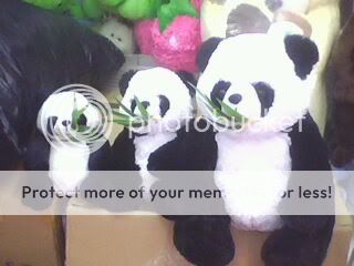  Boneka  Angry bird beruang panda  Utk valz hadiah 