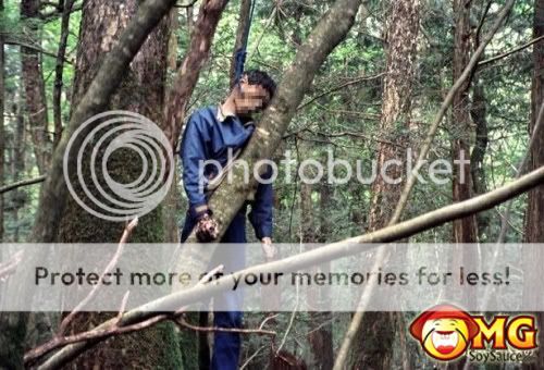 Aokigahara Forest: Tempat favorit untuk bunuh diri di Jepang