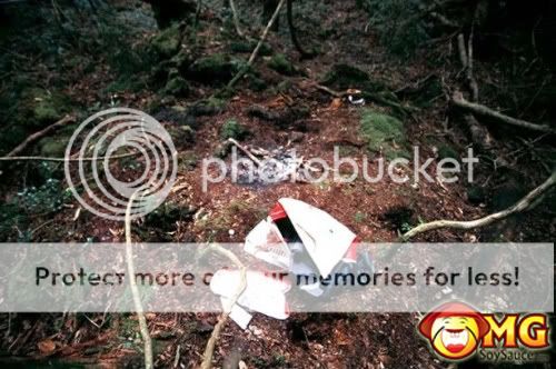 Aokigahara Forest: Tempat favorit untuk bunuh diri di Jepang