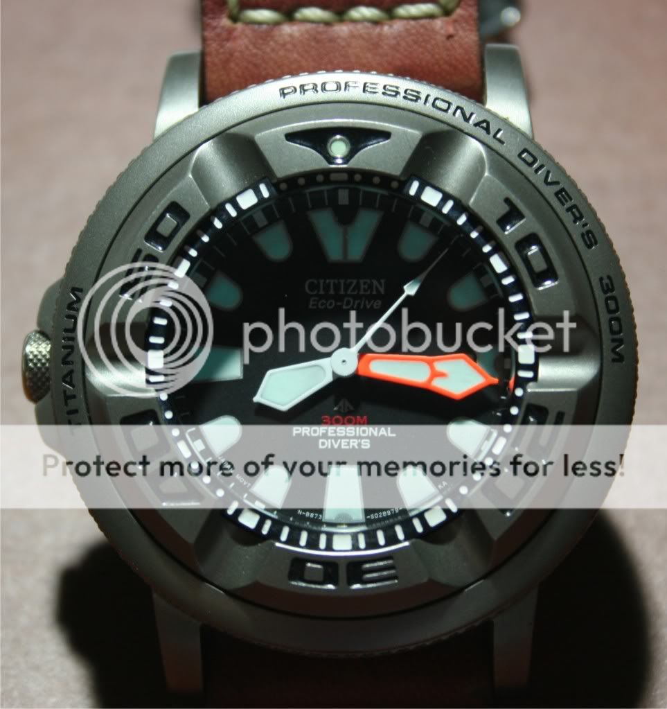 Titanium watches (pic plizzz...)