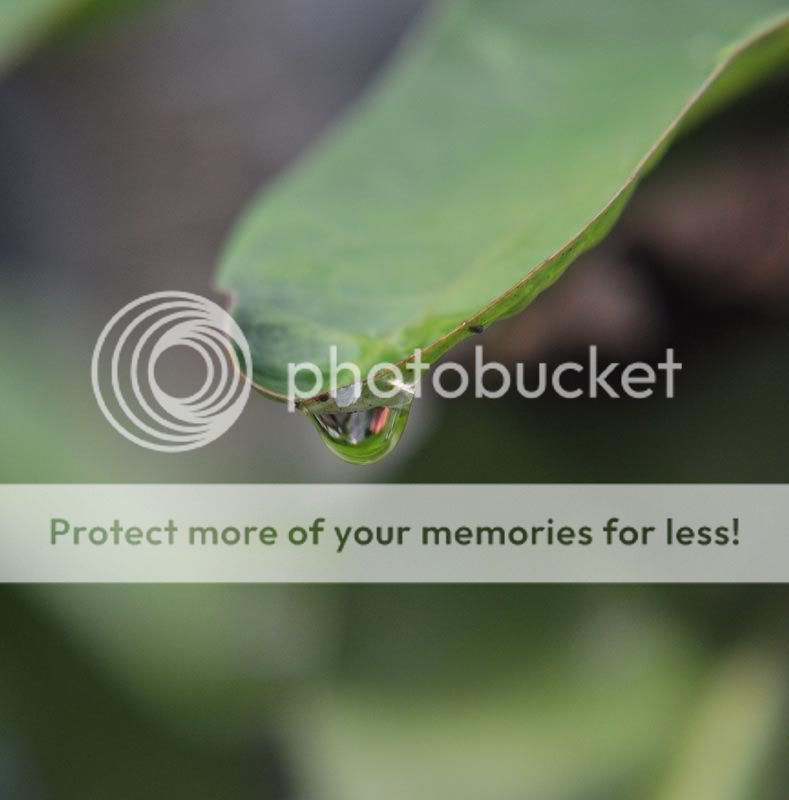 share--all-about-photographytipstrick-n-share-photo