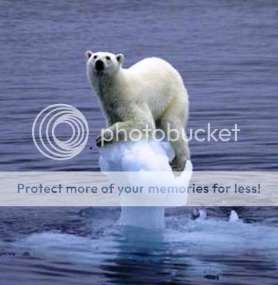 &#91;TRUE STORY&#93; Kisah Sang Beruang Kutub Menghadapi Global Warming &#91;Miris Gan&#93;