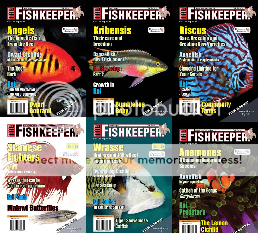download-ebook-dan-majalah-ikan-hias
