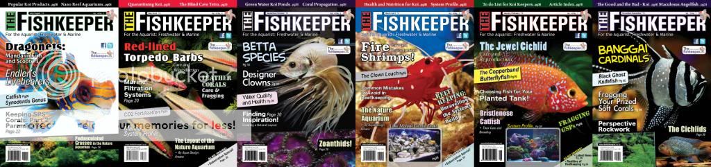 download-ebook-dan-majalah-ikan-hias